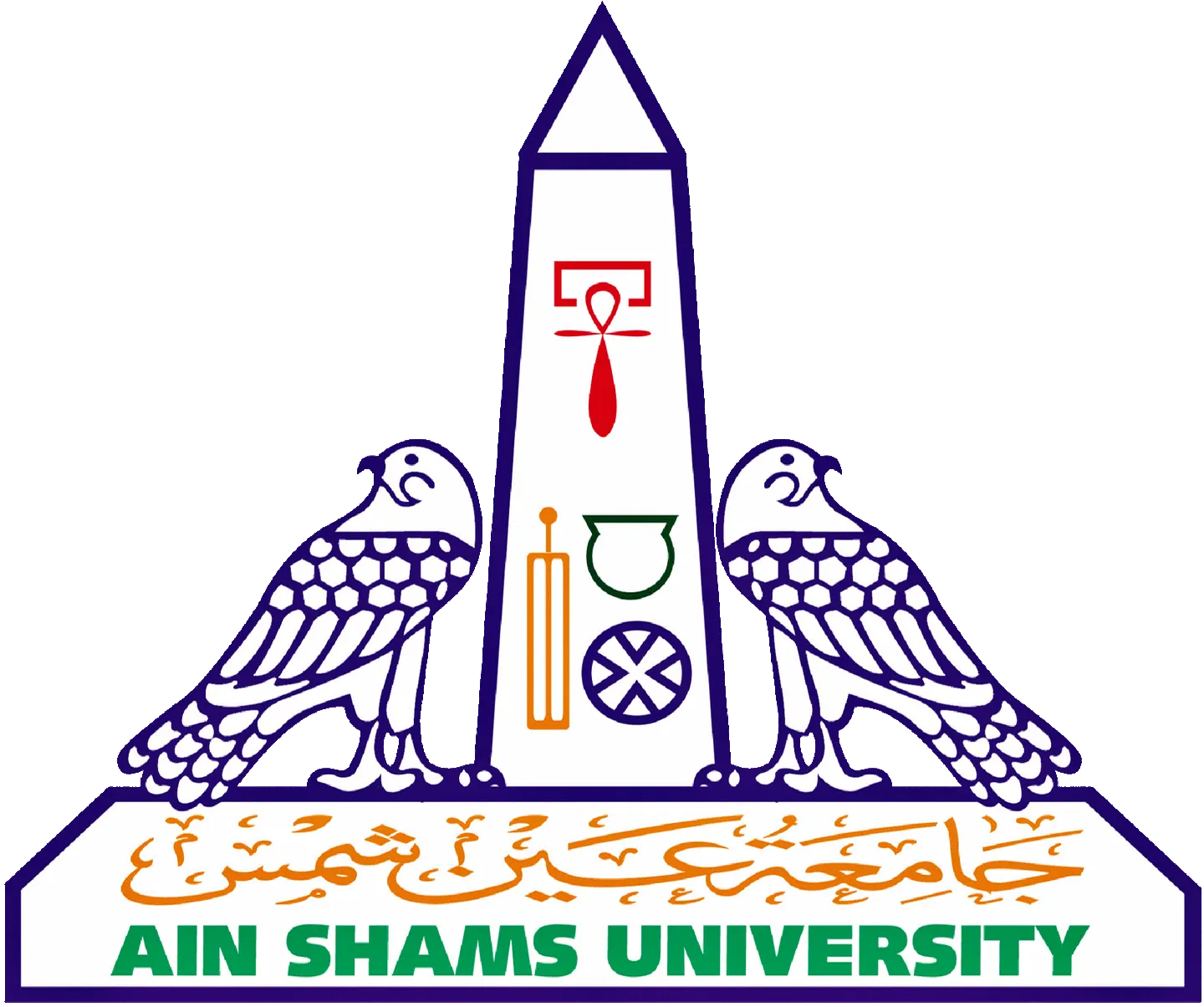 Ain Shams University, Egypt.